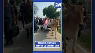 #Shorts  Haryana CM Nayab Singh Saini Travels By Bullock Cart  BJP Congress  Assembly Elections