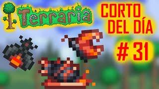 Los 3 Infernales critters - Terraria - Corto del Día - Capítulo 31 #shorts #terraria