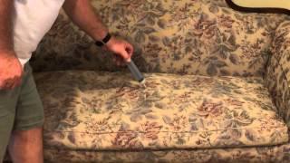 How to remove dog and cat urine from couch
