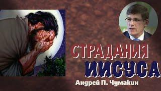 Проповедь Путь страдания Иисуса - Андрей П. Чумакин