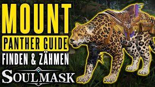 Panther Mount Zähmen Anleitung Ultimativer Taiming Guide