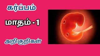 Early pregnancy symptoms and fetus development in tamil  first month of pregnancy symptoms in tamil