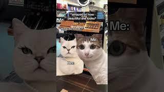 CAT MEMES Mall date with your girlfriend #catmemes #relatable #relationship #shorts