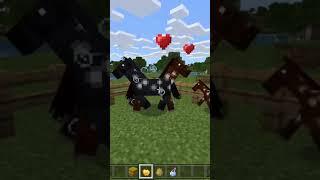 Minecraft fast horse bug