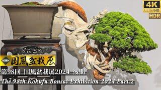 ”The 98th Kokufu Bonsai Exhibition 2024 Part.2 Japanese Bonsai Expo 国風盆栽展 後期 4K HDR