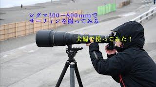 夫婦でシグマ300-800mmを使う！