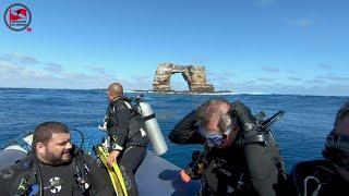 The best dive in the world galapagos Darwins arch