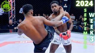 September 2024 Week 3 EPIC MMA and Boxing Knockouts