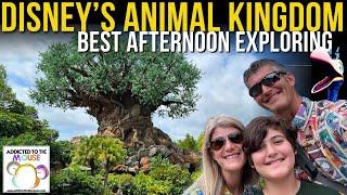 Exploring Disneys Animal Kingdom in May 2024  Walt Disney World