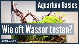 Wie oft soll man Wasserwerte messen?  Aquarium Basics
