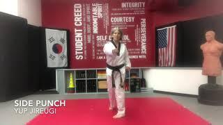 Techniques - Side Punch YUP JIREUGI