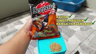 rewiew voer leopard tinggi protein