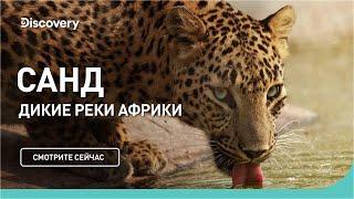 Река Санд  Дикие реки Африки  Discovery