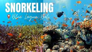 Snorkeling Blue Lagoon Bali - Unveiling the Hidden Wonders of Padang Bai Bali 2023