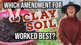 Which Clay Soil Amendment is Best? PART 2