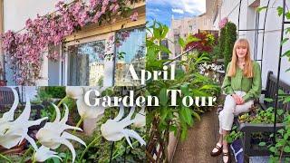 April Container Garden Tour - Shady Garden Inspiration