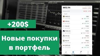 Ставка на кино и фрукты  Инвестиционный портфель  Freedom finance