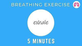 Breathing Exercises To Stop A Panic Attack Now  TAKE A DEEP BREATH