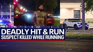 Man killed in hit-and-run while running from Tampa police