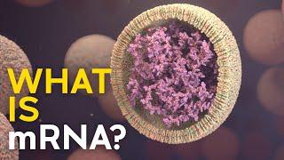 What is mRNA and how does it work?