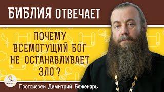 Почему Всемогущий БОГ НЕ ОСТАНАВЛИВАЕТ ЗЛО ? Протоиерей Димитрий Беженарь