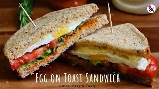 Fried Egg and Cheese Sandwich   Perfect Egg and Toast Breakfast Recipe  Easy and Tasty