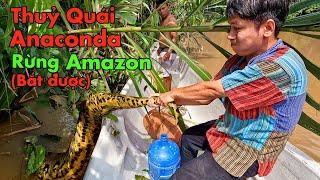 Truy Bắt Thuỷ Quái Rừng Amazon tập 2