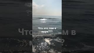 Что это там в море???