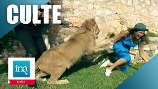 1997  Marie Ange Nardi attaquée par un lion en direct  Archive INA