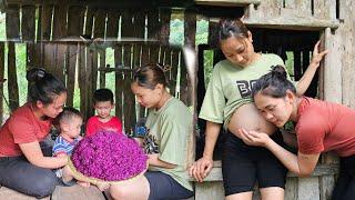 Harvesting leaves - Visiting pregnant mothers - Processing 5-color sticky rice