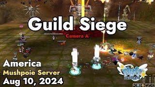 Guild Siege Mushpoie Server August 10 2024  Flyff Universe