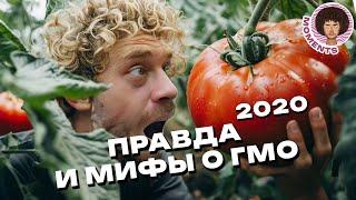 ГМО мифы и реальность  Интервью с биологом Александром Панчиным  Илья Варламов