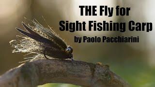 The Fly for sight fishing Carp - Paolo Pacchiarini