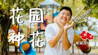 挖呀挖呀挖！郑斌彦 - 花园种花（手势舞教学伴奏）  幼儿音乐  儿童团康