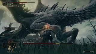 This Is Why We Love Elden Ring Defeat Flying Dragon Agheel