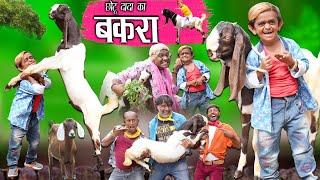 छोटू दादा बकरा वाला  CHOTU DADA KA BAKRA  Khandesh Hindi Comedy  Chotu Dada Comedy Video