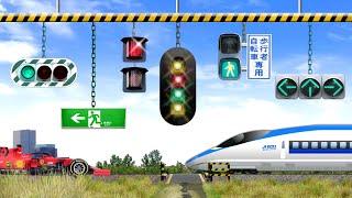 大量のいろんな信号機で踏切の秩序を破壊してみた 【踏切アニメ】 Train & Railroad Crossing Anime - Various Traffic Signals -