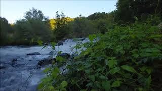 Water and bird sounds in the green forest. Calming nature and river ambiance. Relaxing music..