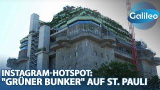 Das grünste Dach Hamburgs Hotel Konzerthalle und Platz für jede Menge Kreativität