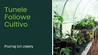 TUNELE FOLIOWE Cultivo - focusgarden.pl