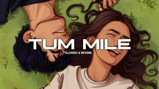 Javed Ali - Tum Mile  slowed + reverb   Midnight Lofi