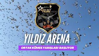 +3000 Güvercinin Yarışacağı One Loft Race Yıldız Arenadayız ...