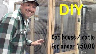 Amazing DIY Cat HouseCatio for under 150.00 stray Cat and Kittens found a home