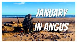January in Angus  Winter Sun with coffee.