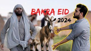 Bakra Eid 2024  Ok Boys  Bakra Eid Funny video 2024