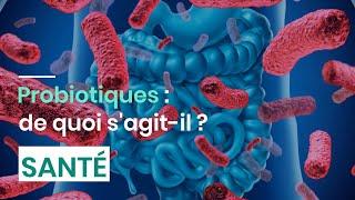 Probiotiques  de quoi sagit-il ?