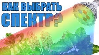 КАК ВЫБРАТЬ СПЕКТР ФИТОЛАМПЫ? ВСЕ О СПЕКТРАХ ФИТОЛАМП