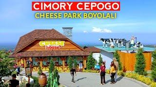 Cimory Cepogo Cheese Park Boyolali. Tempat wisata edukasi keluarga.