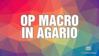 Macro Gameplay In Agario