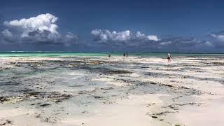 Pingwe Beach Zanzibar Tanzania